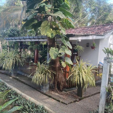 Lovers Green Villa Matara Exterior photo